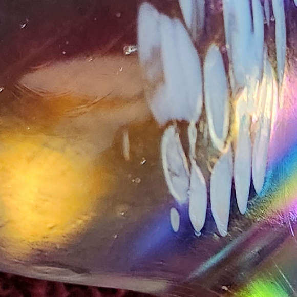 Crystal Penquin Decor - Picture 9 of 12